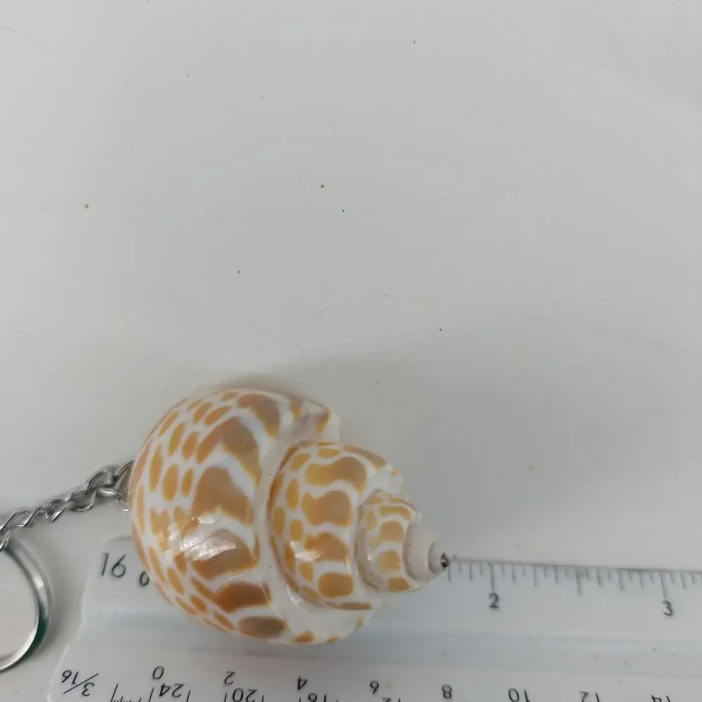 Sheshell Key Rings Lot Keychain Lot of 9 Natural Boho